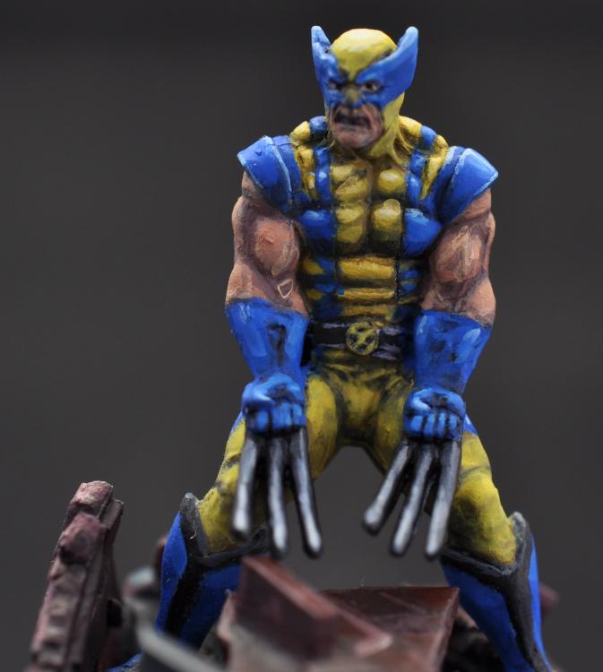 Wolverine_5.thumb.JPG.37c0ab9e004c7214f6