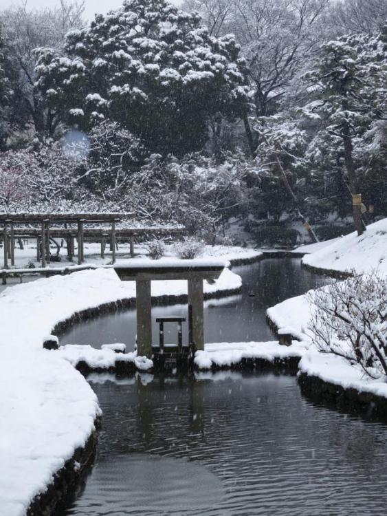 efb24eb89835e947164923b7ac8cdb56--japanese-culture-japanese-gardens.thumb.jpg.7b238c914fb886d505638c8cb503af2d.jpg