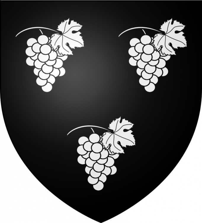 800px-Blason_Etienne_de_Vignolles_(La_Hire)_svg.thumb.png.8f24abc48c955c6e163ffaad6cc3a0b0.png