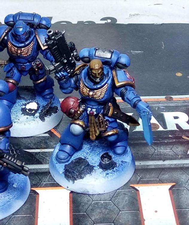 wh40k_sm_primaris_im_bau_55.thumb.jpg.d4937705cccde7385542159d94d18ecf.jpg