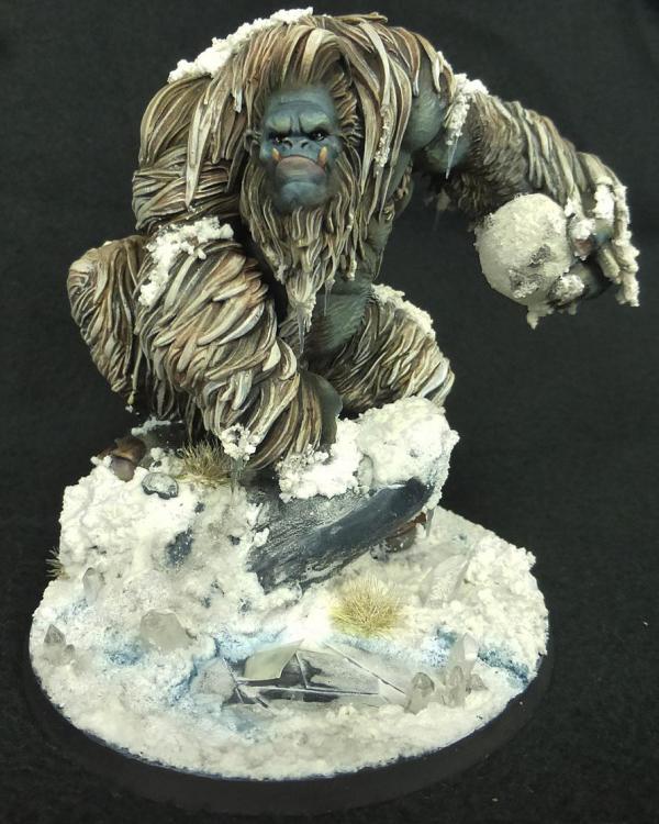 Yeti2.thumb.JPG.99509415cc6a507d2b679326b876fc66.JPG