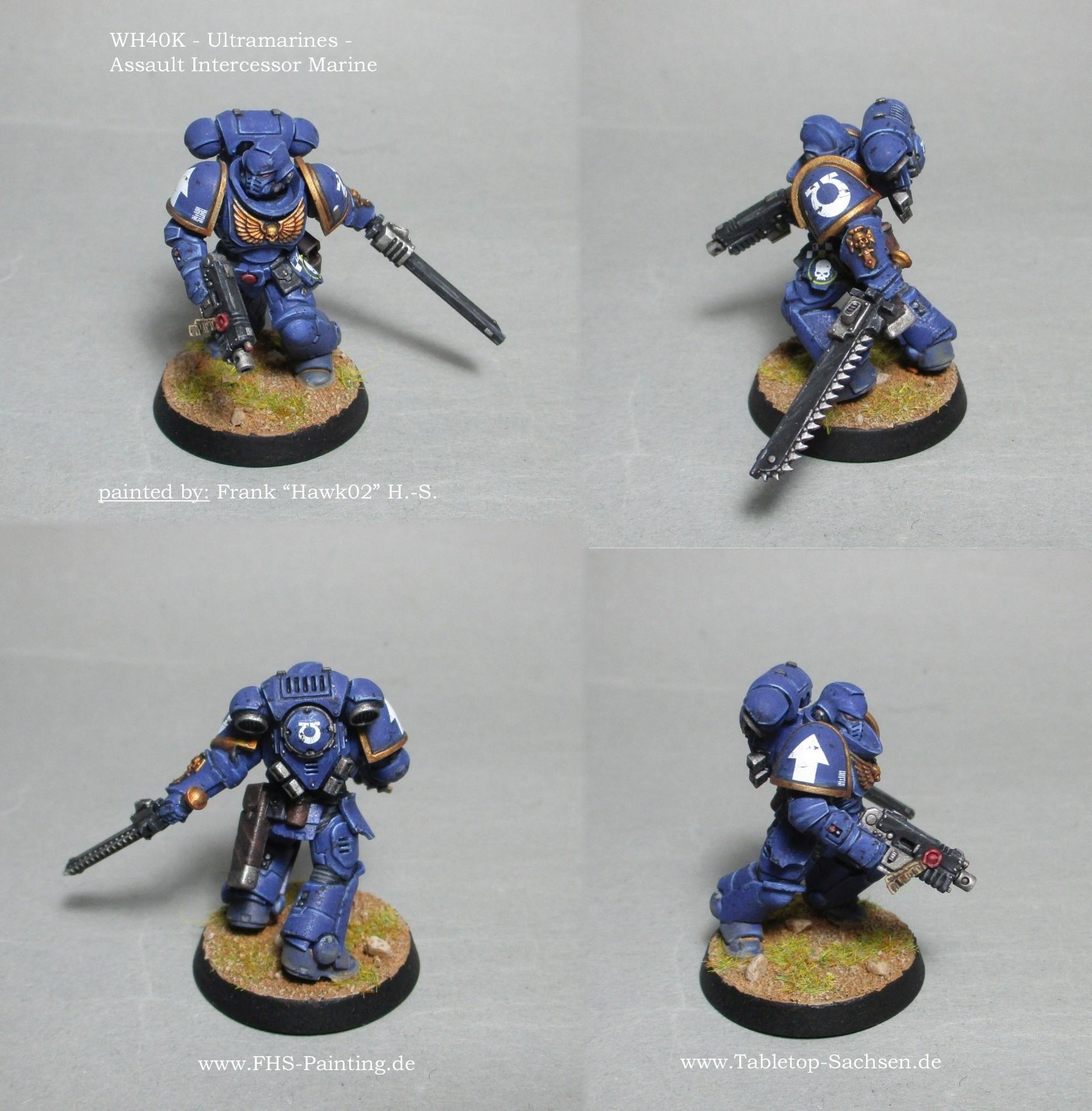 wh40k_ultramarines_assault_intercessor_marine.jpg.e5d4301ca81bd366fa0fc806e7483160.jpg