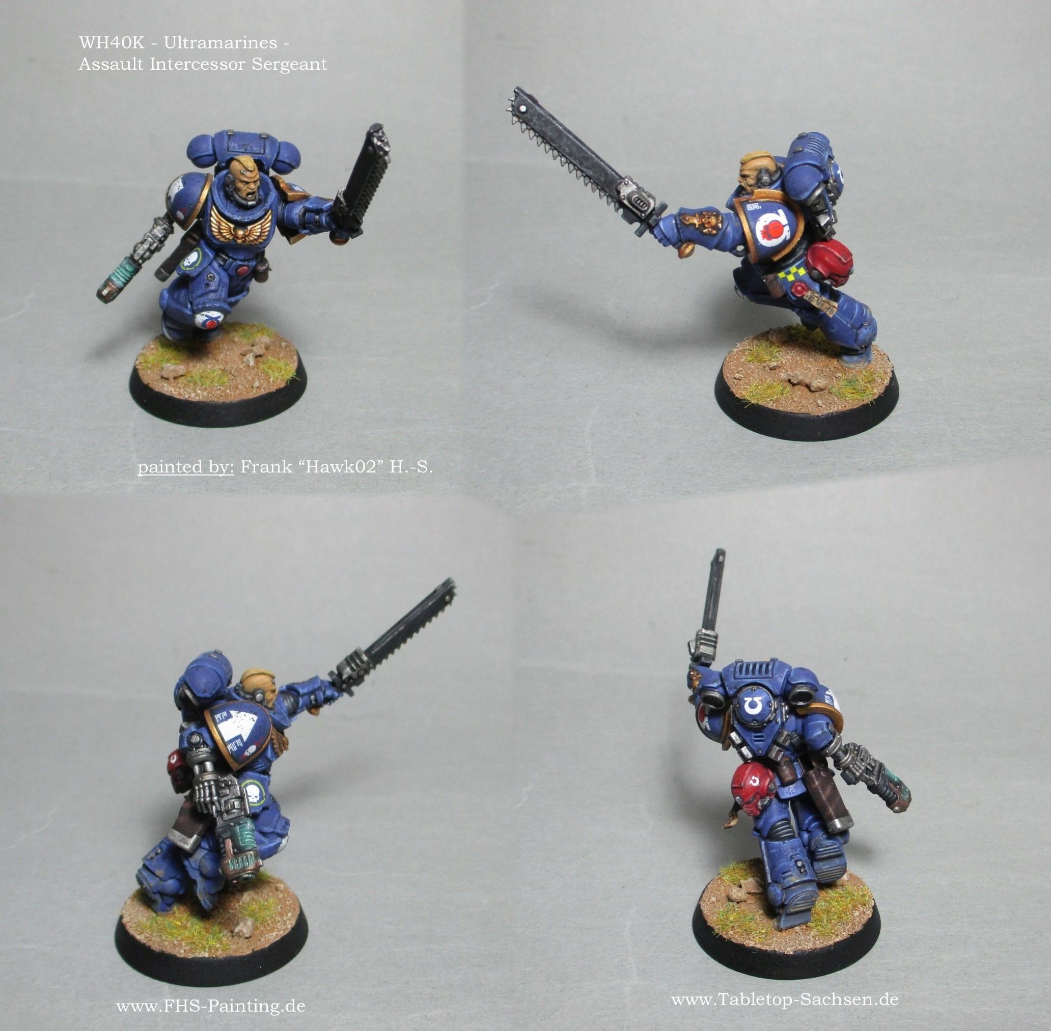 wh40k_ultramarines_assault_intercessor_sergeant.jpg.5fd2acda392b9cd86c4a9dafdd43be21.jpg