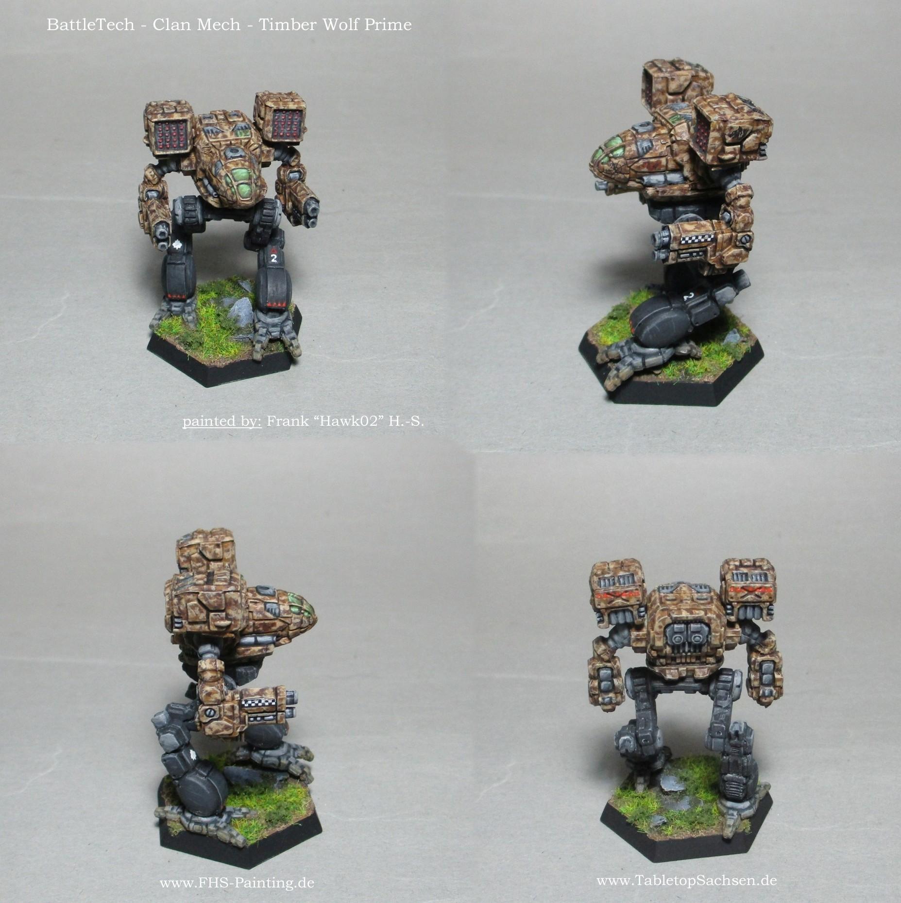 battletech_clan_mech_timber_wolf_prime.jpg.b03326dd2026c5f80307471f847db0f6.jpg.c78ea93941ff771e6e96ce476f75444f.jpg